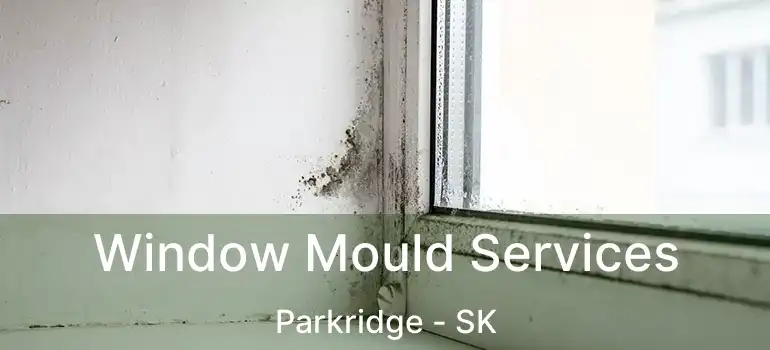  Window Mould Services Parkridge - SK