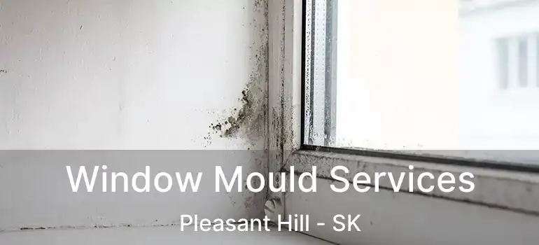  Window Mould Services Pleasant Hill - SK