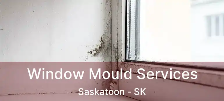  Window Mould Services Saskatoon - SK