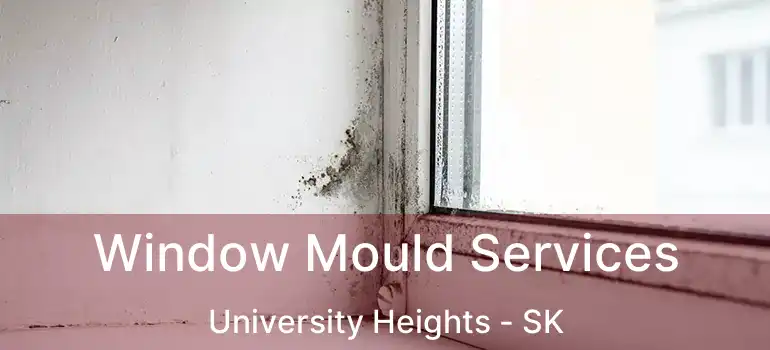  Window Mould Services University Heights - SK