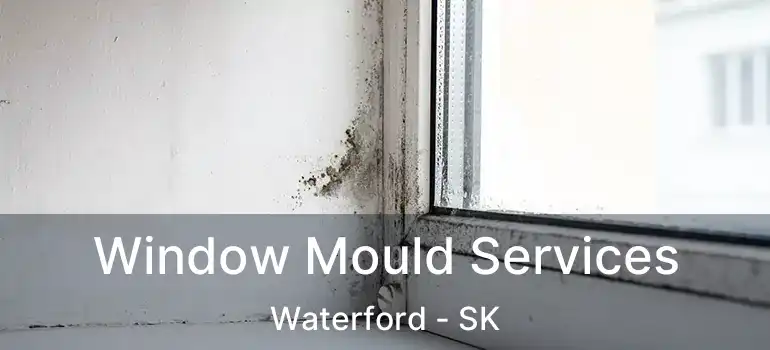  Window Mould Services Waterford - SK