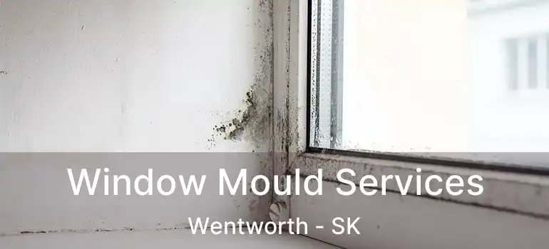  Window Mould Services Wentworth - SK