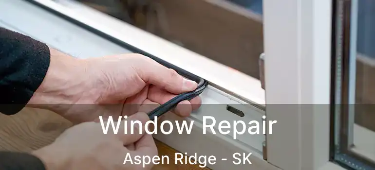  Window Repair Aspen Ridge - SK