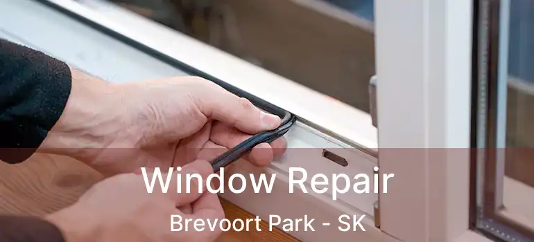  Window Repair Brevoort Park - SK