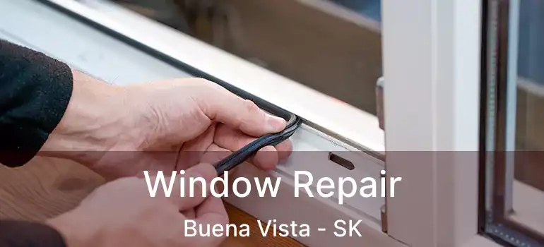  Window Repair Buena Vista - SK