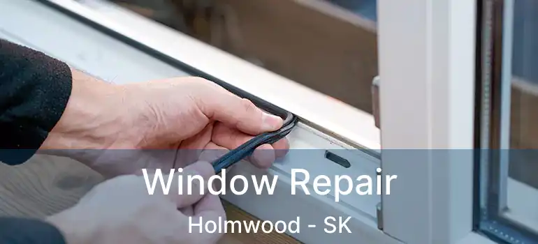  Window Repair Holmwood - SK