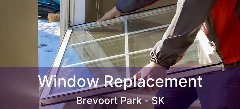  Window Replacement Brevoort Park - SK