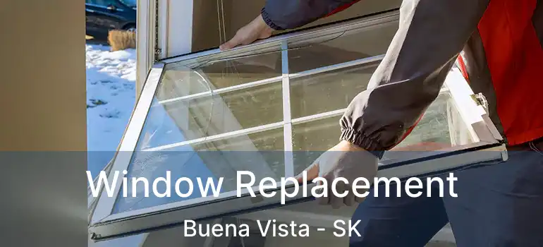  Window Replacement Buena Vista - SK