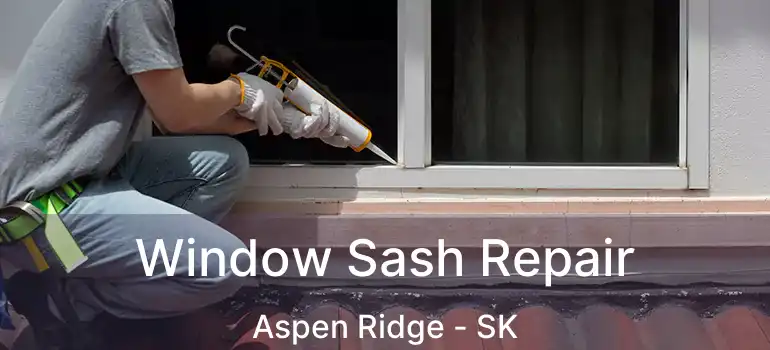  Window Sash Repair Aspen Ridge - SK