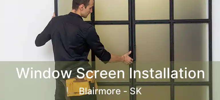  Window Screen Installation Blairmore - SK