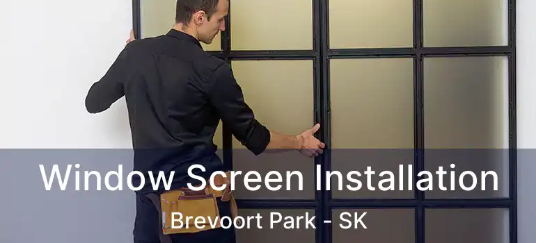  Window Screen Installation Brevoort Park - SK