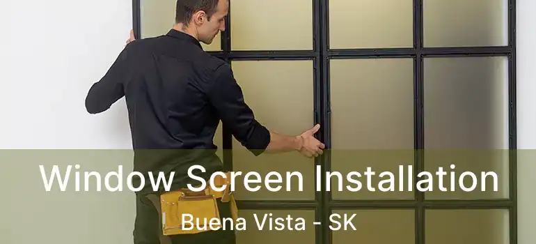  Window Screen Installation Buena Vista - SK