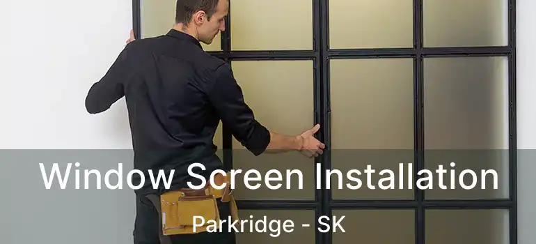  Window Screen Installation Parkridge - SK