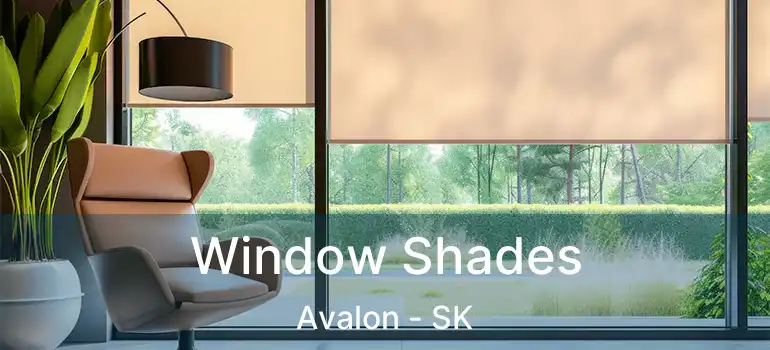  Window Shades Avalon - SK