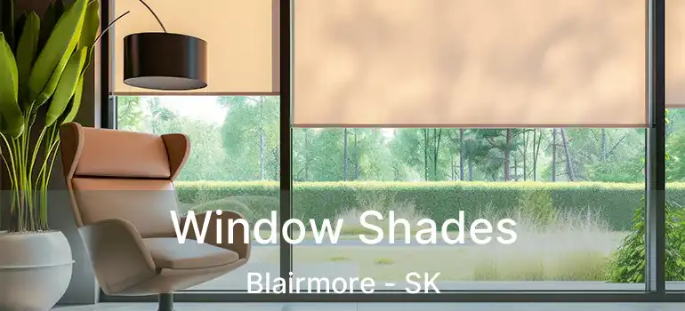  Window Shades Blairmore - SK