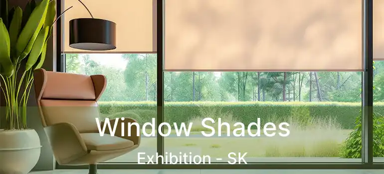  Window Shades Exhibition - SK