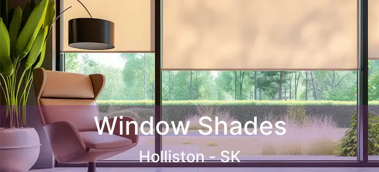  Window Shades Holliston - SK