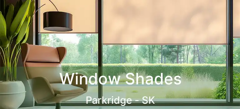  Window Shades Parkridge - SK