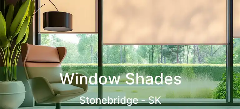  Window Shades Stonebridge - SK