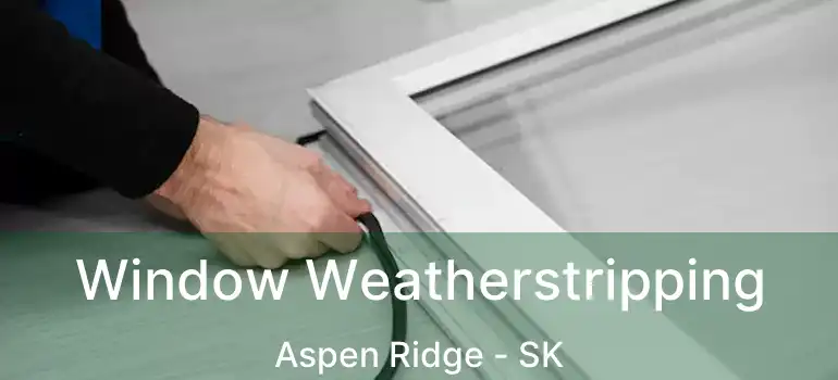  Window Weatherstripping Aspen Ridge - SK