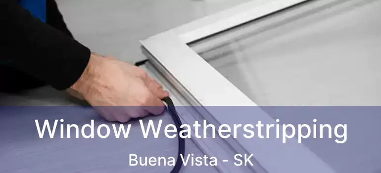  Window Weatherstripping Buena Vista - SK