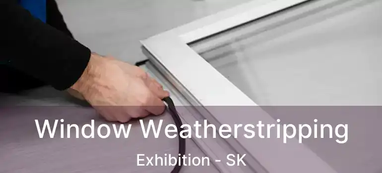  Window Weatherstripping Exhibition - SK