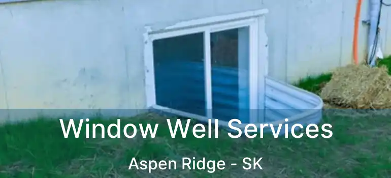  Window Well Services Aspen Ridge - SK