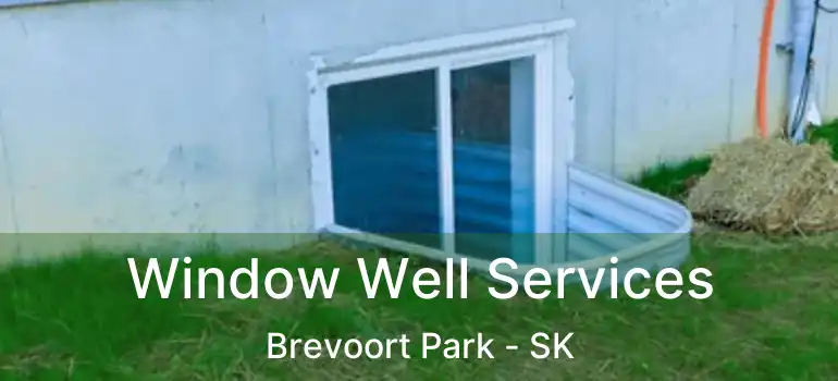  Window Well Services Brevoort Park - SK