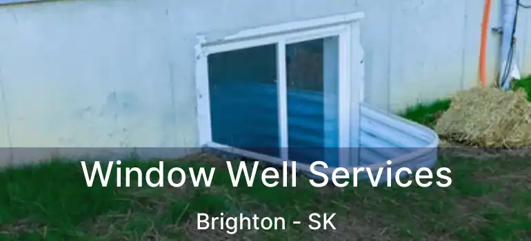  Window Well Services Brighton - SK