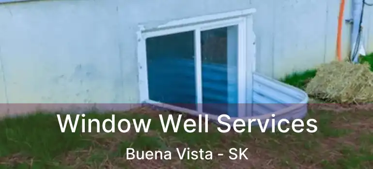  Window Well Services Buena Vista - SK