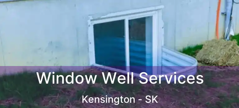  Window Well Services Kensington - SK