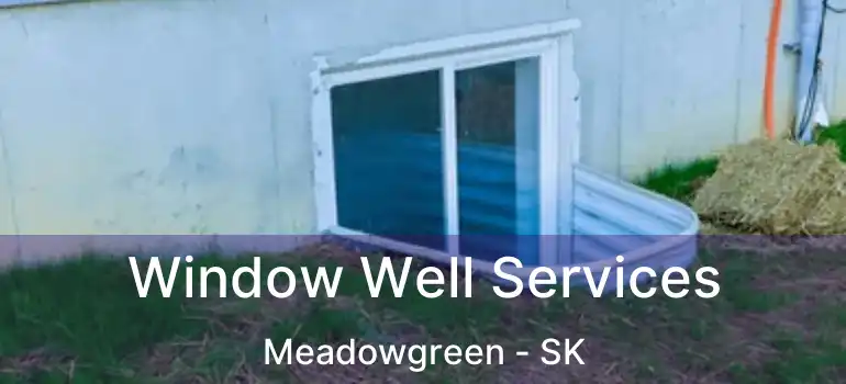  Window Well Services Meadowgreen - SK