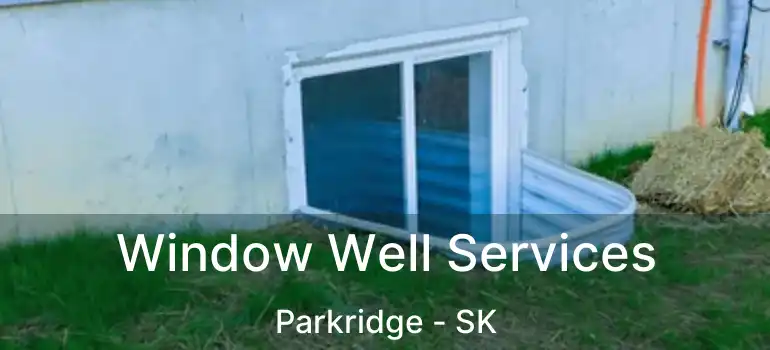  Window Well Services Parkridge - SK