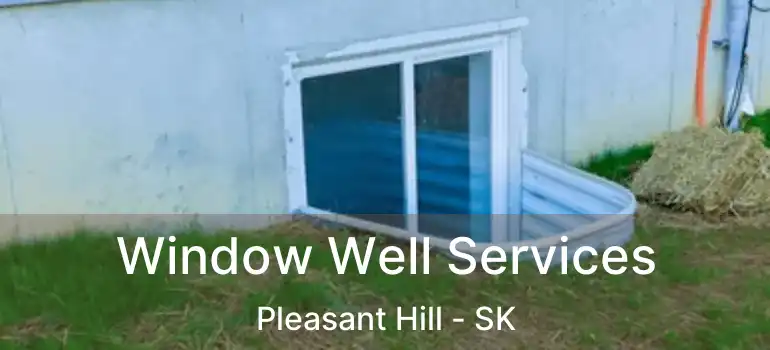  Window Well Services Pleasant Hill - SK